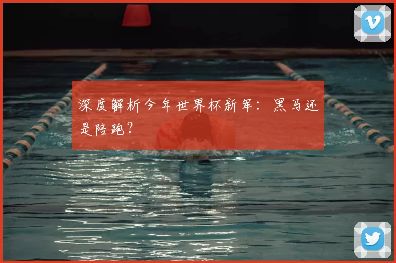 深度解析今年世界杯新军:黑马还是陪跑?