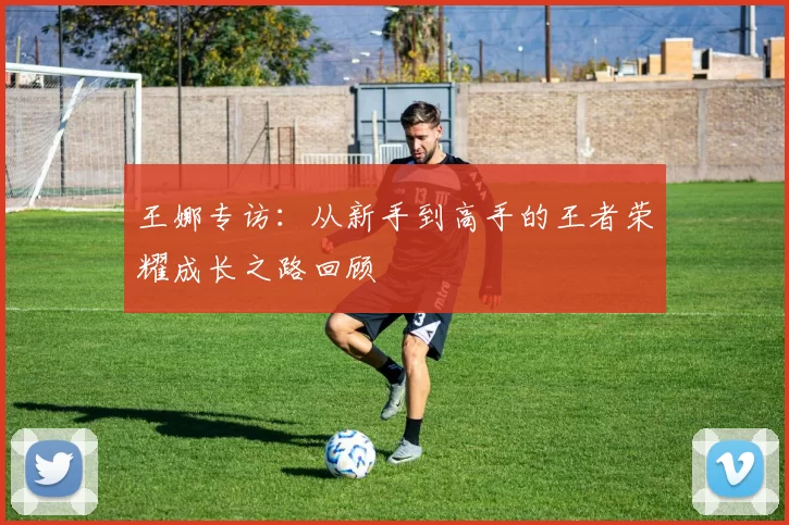 王娜专访:从新手到高手的王者荣耀成长之路回顾