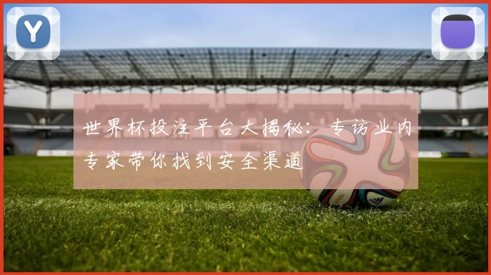 世界杯投注平台大揭秘:专访业内专家带你找到安全渠道