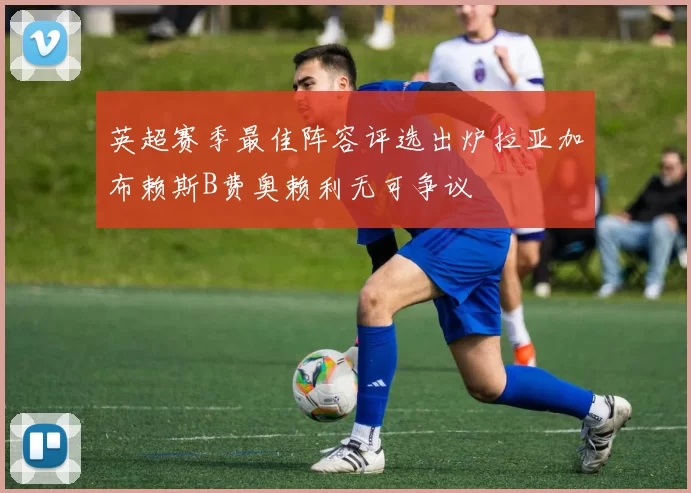 英超赛季最佳阵容评选出炉拉亚加布赖斯B费奥赖利无可争议