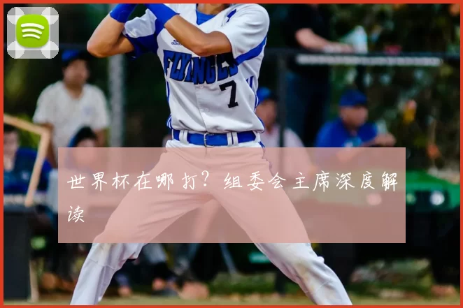 世界杯在哪打?组委会主席深度解读