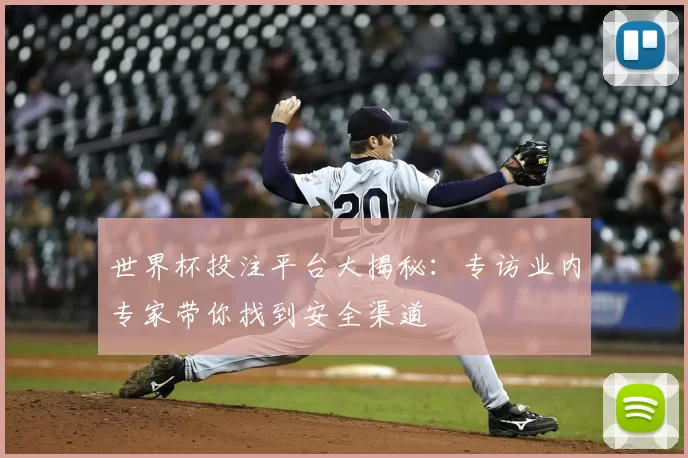 世界杯投注平台大揭秘:专访业内专家带你找到安全渠道