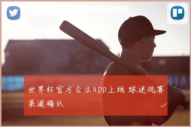 世界杯官方合法app上线 球迷观赛渠道确认