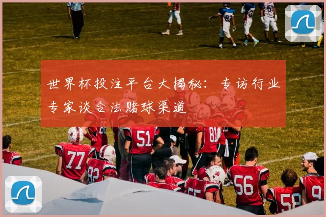 世界杯投注平台大揭秘:专访行业专家谈合法赌球渠道
