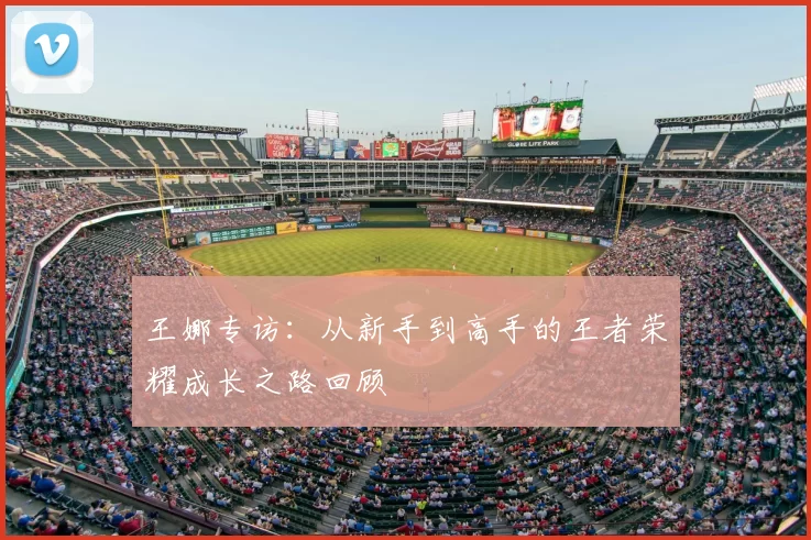 王娜专访:从新手到高手的王者荣耀成长之路回顾